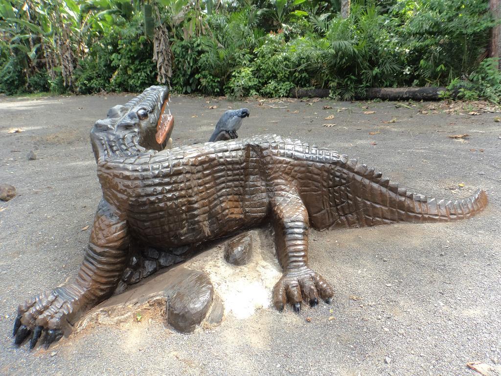 Jardim Botanico Me-Zochi Hotel Sao Tomé Kültér fotó